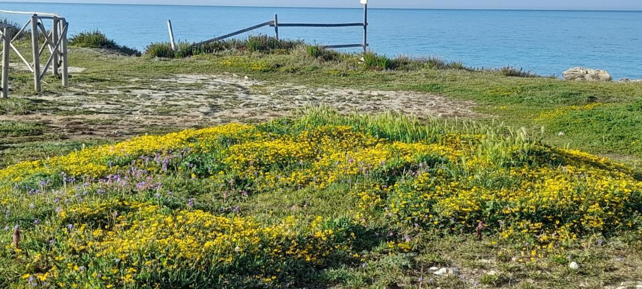 Villino Il Melograno *